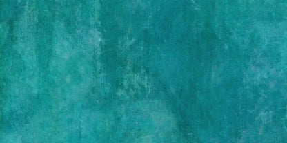 Spectra 20X10 Ultracloth ( 240 X 120 Inch ) Backdrop