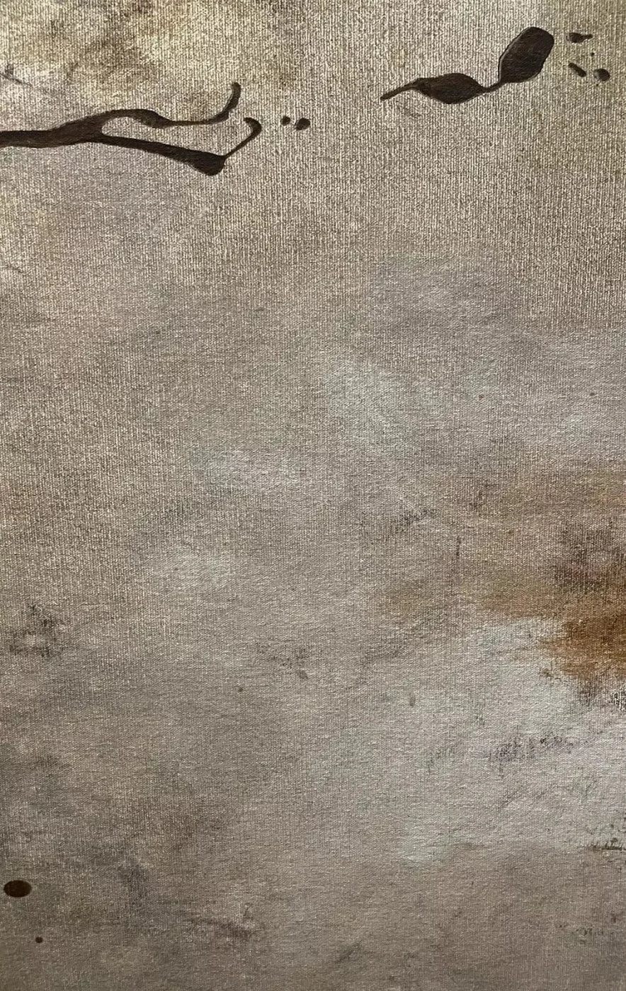 Splatter Texture 10X16 Ultracloth ( 120 X 192 Inch ) Backdrop