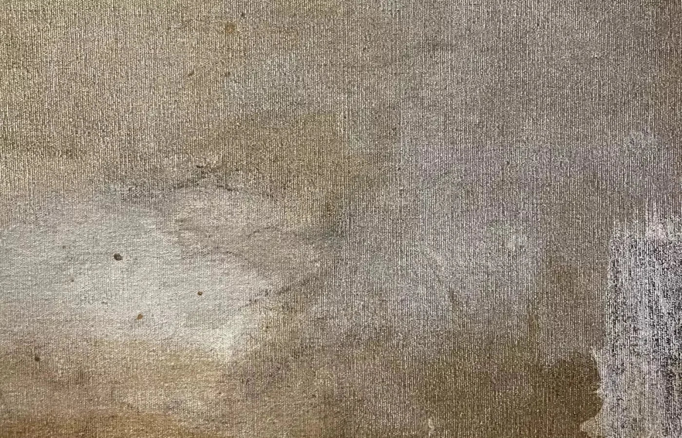 Splatter Texture 2 12X8 Ultracloth ( 144 X 96 Inch ) Backdrop