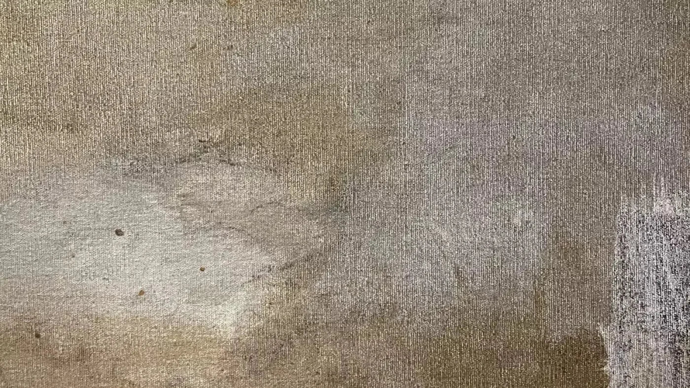 Splatter Texture 2 14X8 Ultracloth ( 168 X 96 Inch ) Backdrop