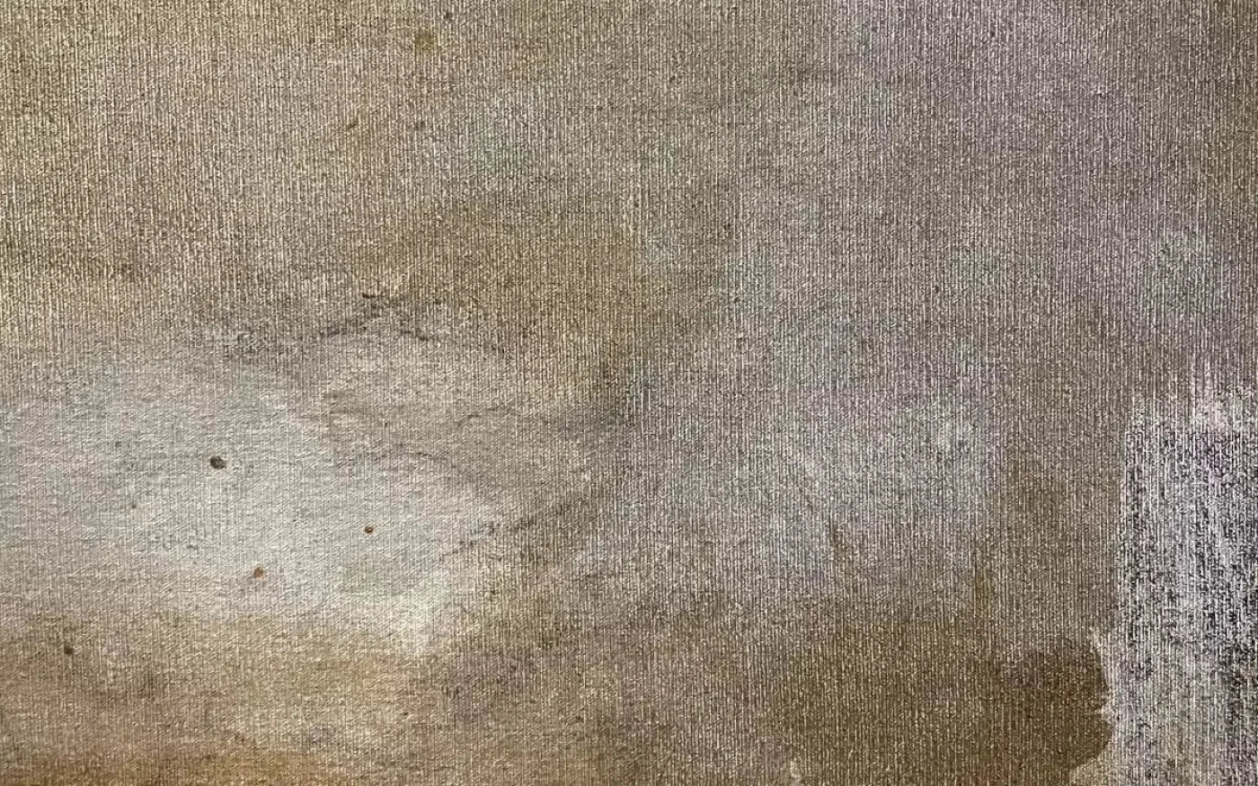 Splatter Texture 2 14X9 Ultracloth ( 168 X 108 Inch ) Backdrop