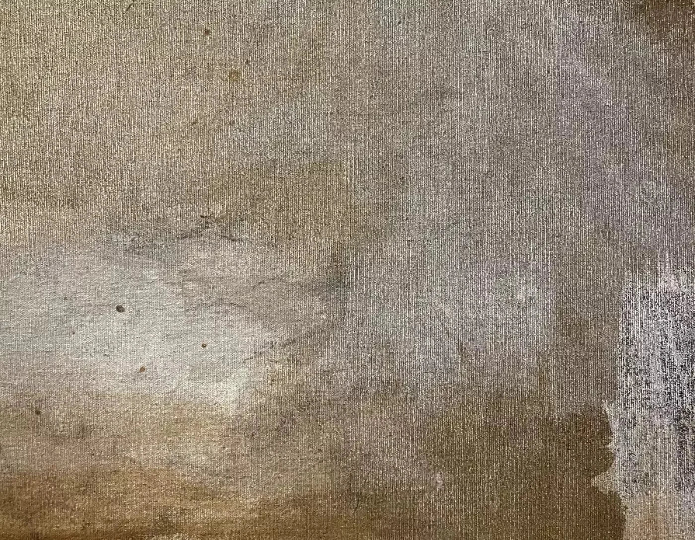 Splatter Texture 2 8X6 Fleece ( 96 X 72 Inch ) Backdrop