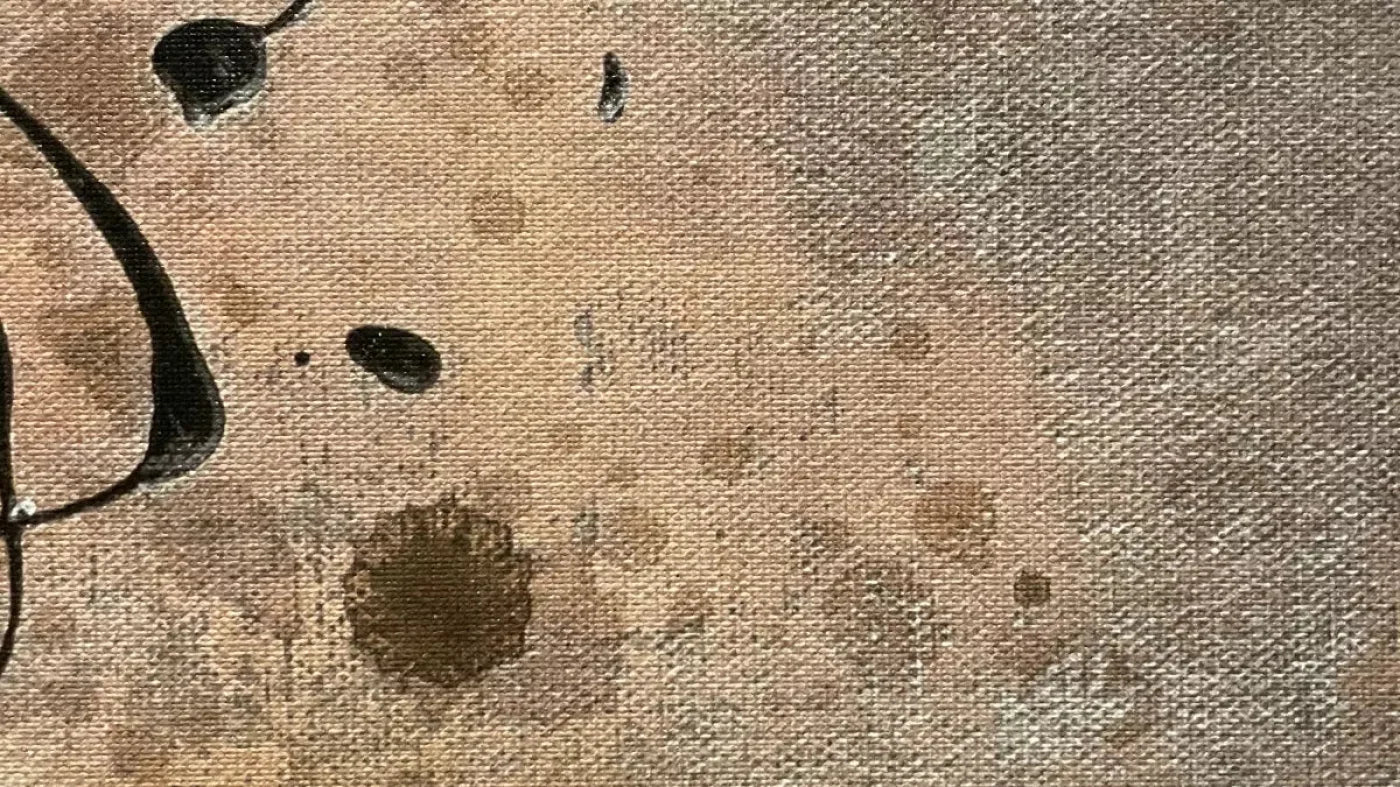 Splatter Texture 3 14X8 Ultracloth ( 168 X 96 Inch ) Backdrop