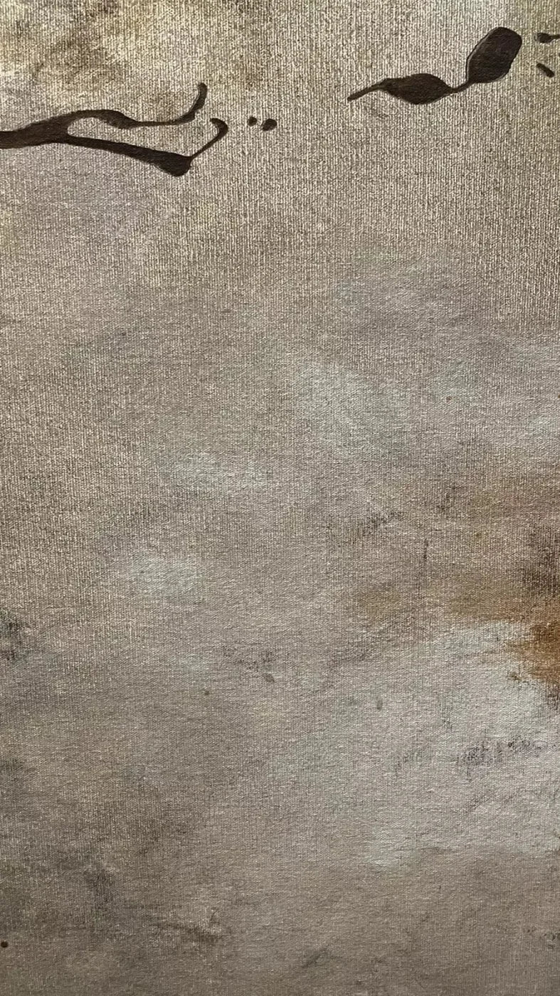 Splatter Texture 8X14 Ultracloth ( 96 X 168 Inch ) Backdrop