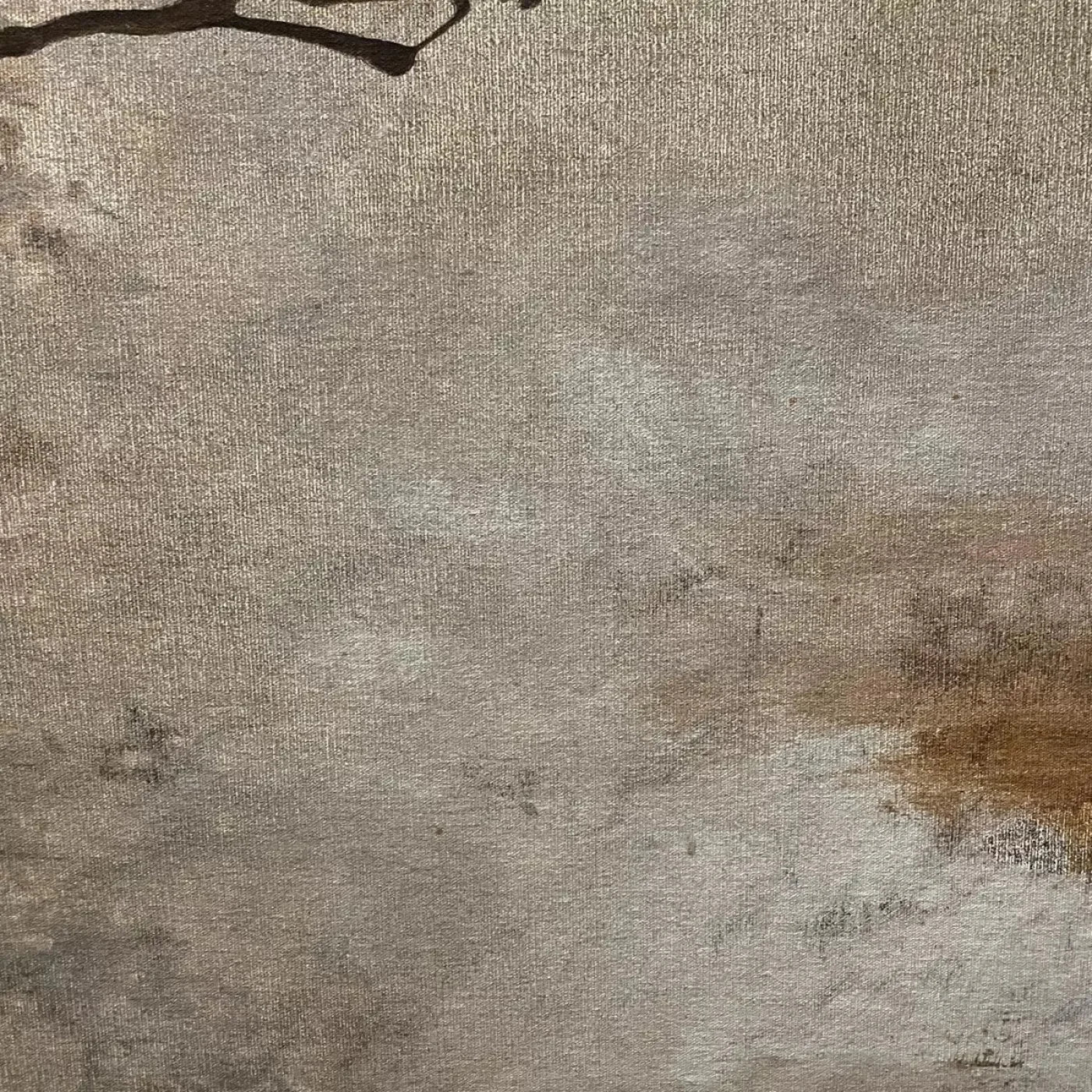 Splatter Texture 8X8 Fleece ( 96 X Inch ) Backdrop