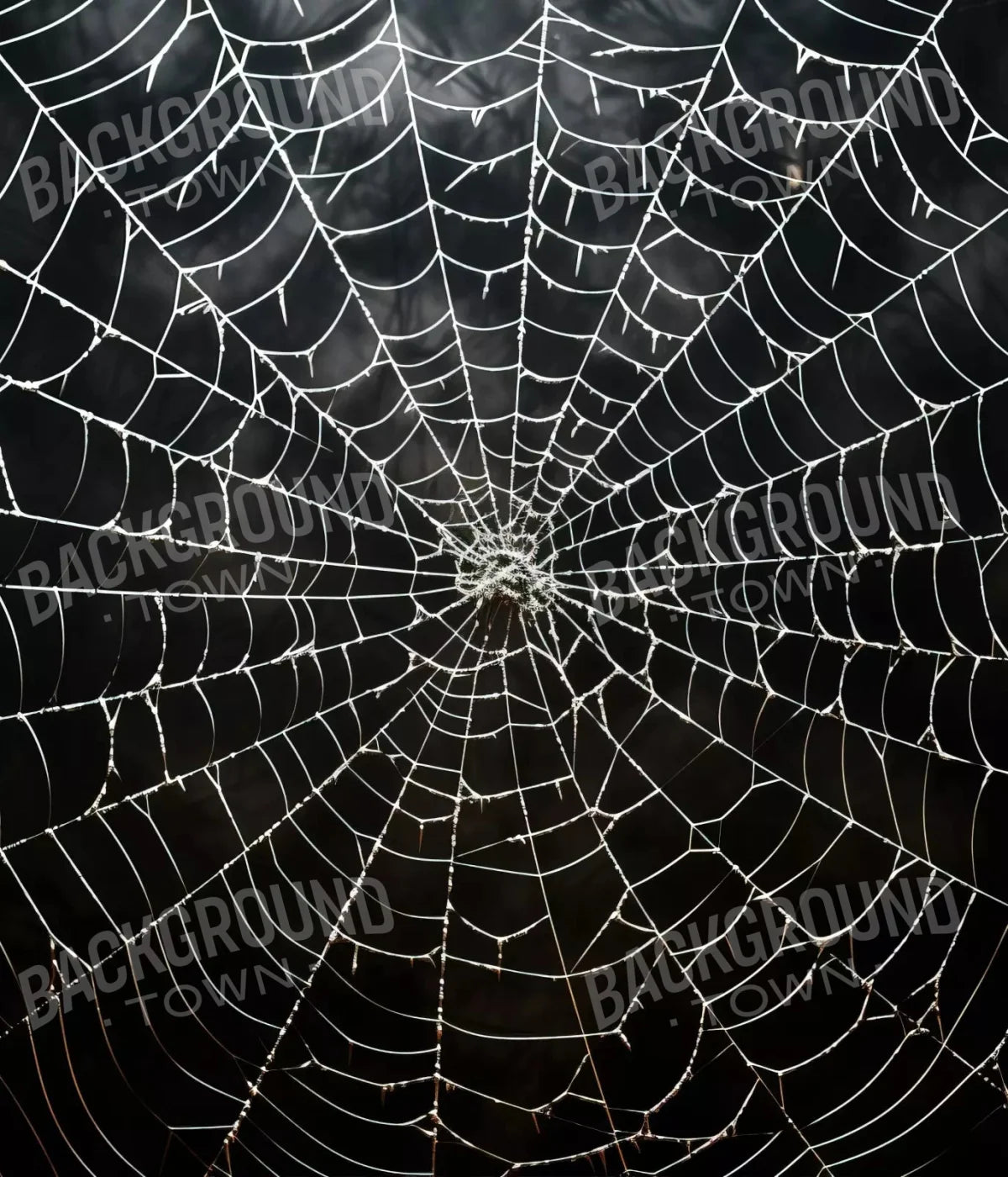 Spooky Spider Web 10X12 Ultracloth ( 120 X 144 Inch ) Backdrop