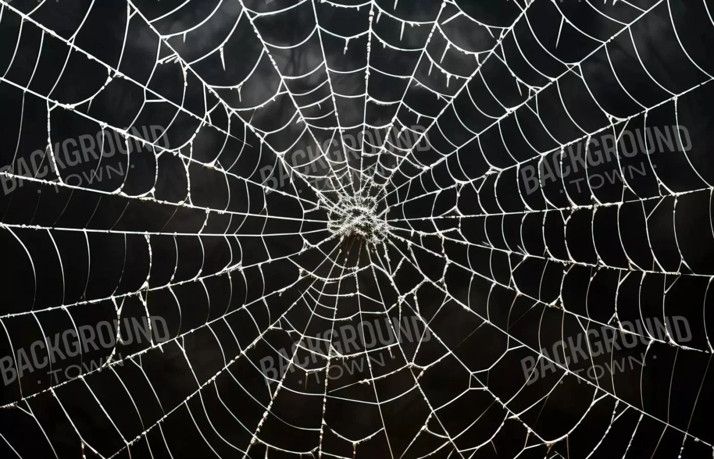 Spooky Spider Web 12X8 Ultracloth ( 144 X 96 Inch ) Backdrop
