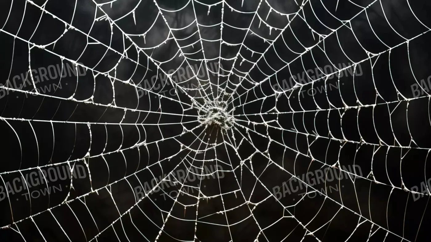 Spooky Spider Web 14X8 Ultracloth ( 168 X 96 Inch ) Backdrop