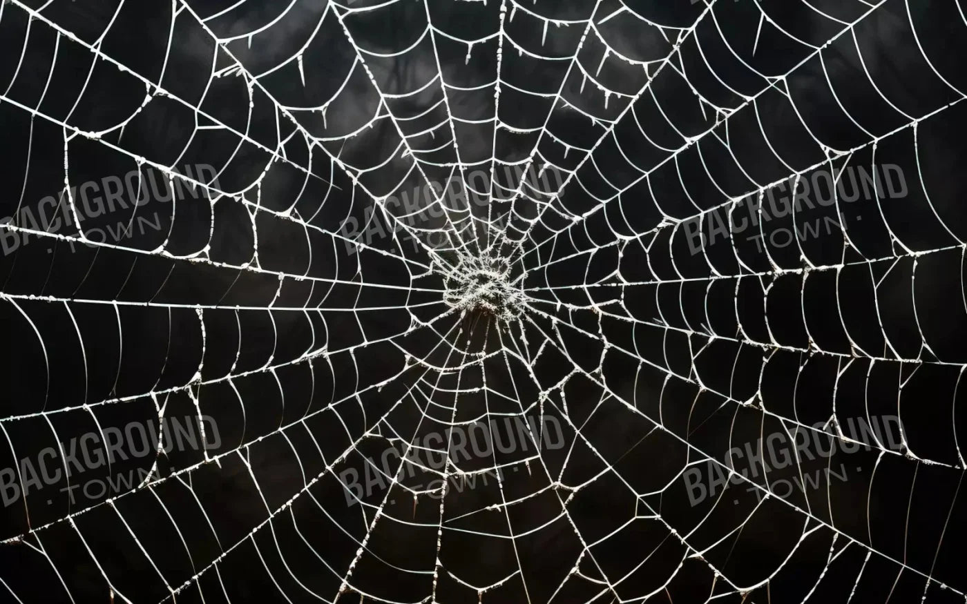 Spooky Spider Web 14X9 Ultracloth ( 168 X 108 Inch ) Backdrop