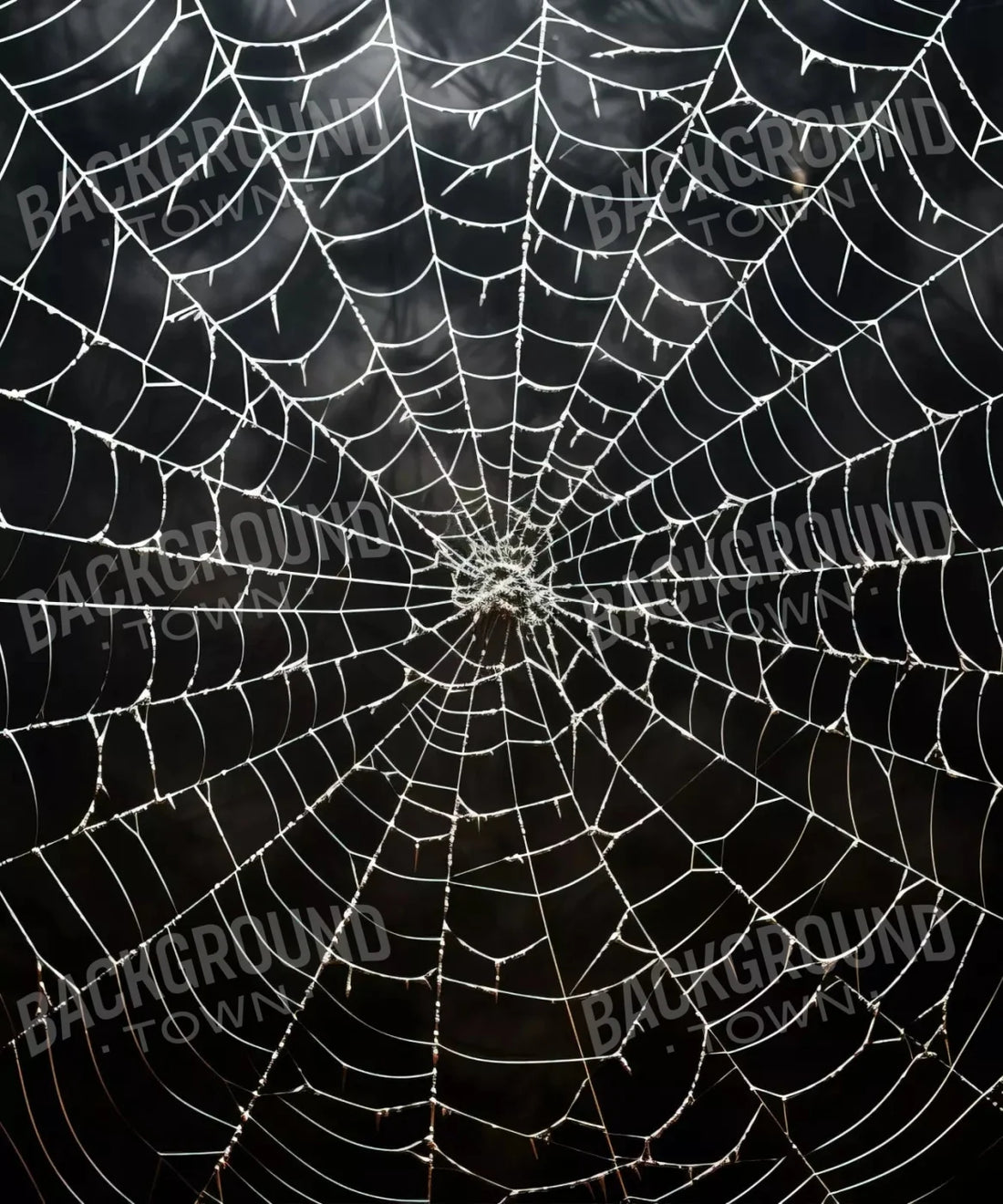 Black Halloween Backdrop for Photography