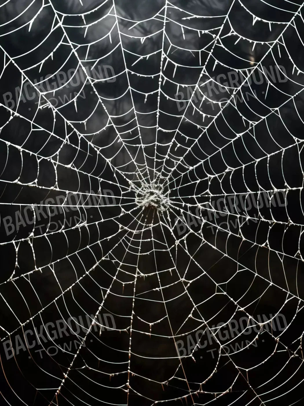 Spooky Spider Web 5X68 Fleece ( 60 X 80 Inch ) Backdrop