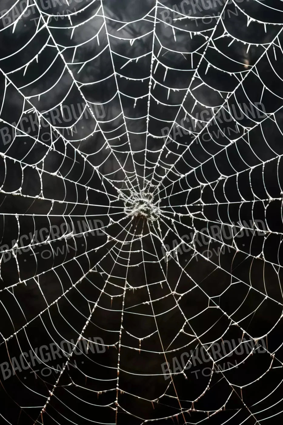 Spooky Spider Web 5X8 Ultracloth ( 60 X 96 Inch ) Backdrop