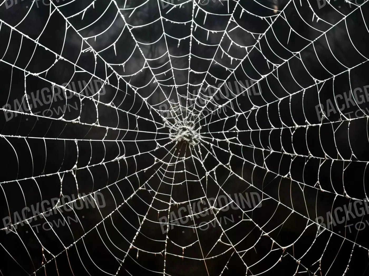 Spooky Spider Web 68X5 Fleece ( 80 X 60 Inch ) Backdrop