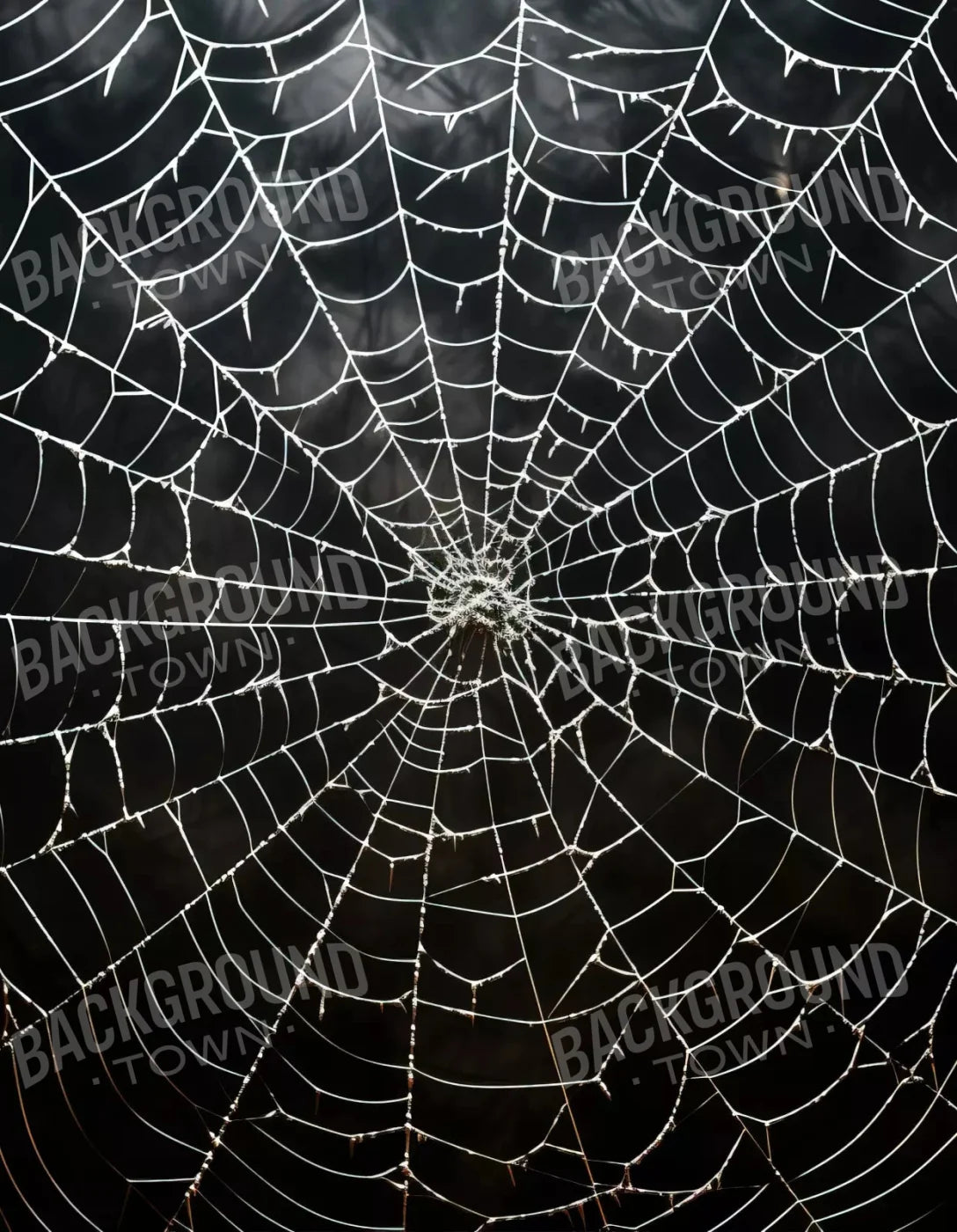 Spooky Spider Web 6X8 Fleece ( 72 X 96 Inch ) Backdrop