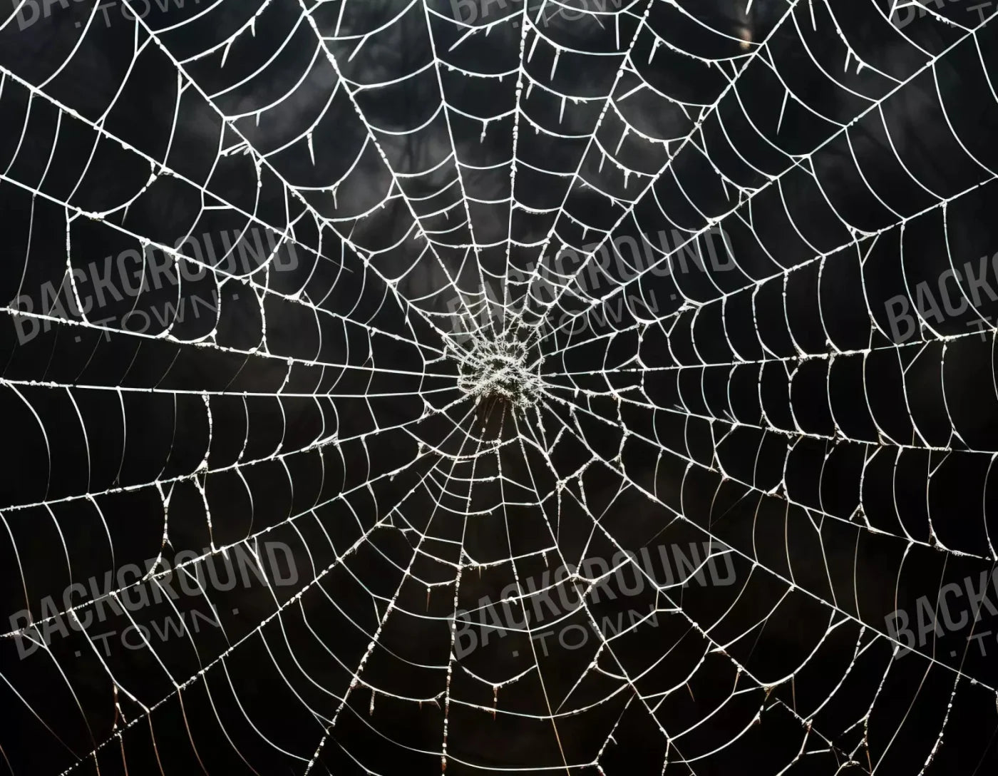 Spooky Spider Web 8X6 Fleece ( 96 X 72 Inch ) Backdrop