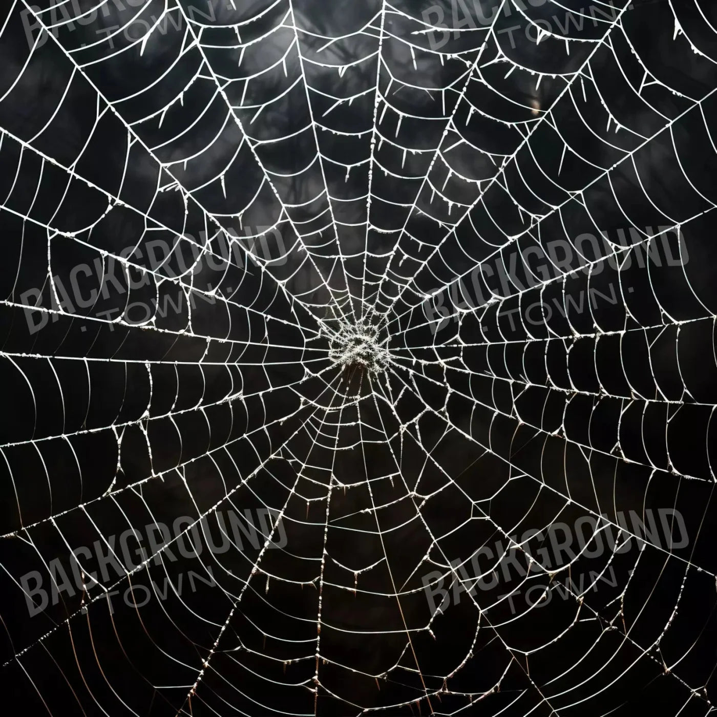 Spooky Spider Web 8X8 Fleece ( 96 X Inch ) Backdrop