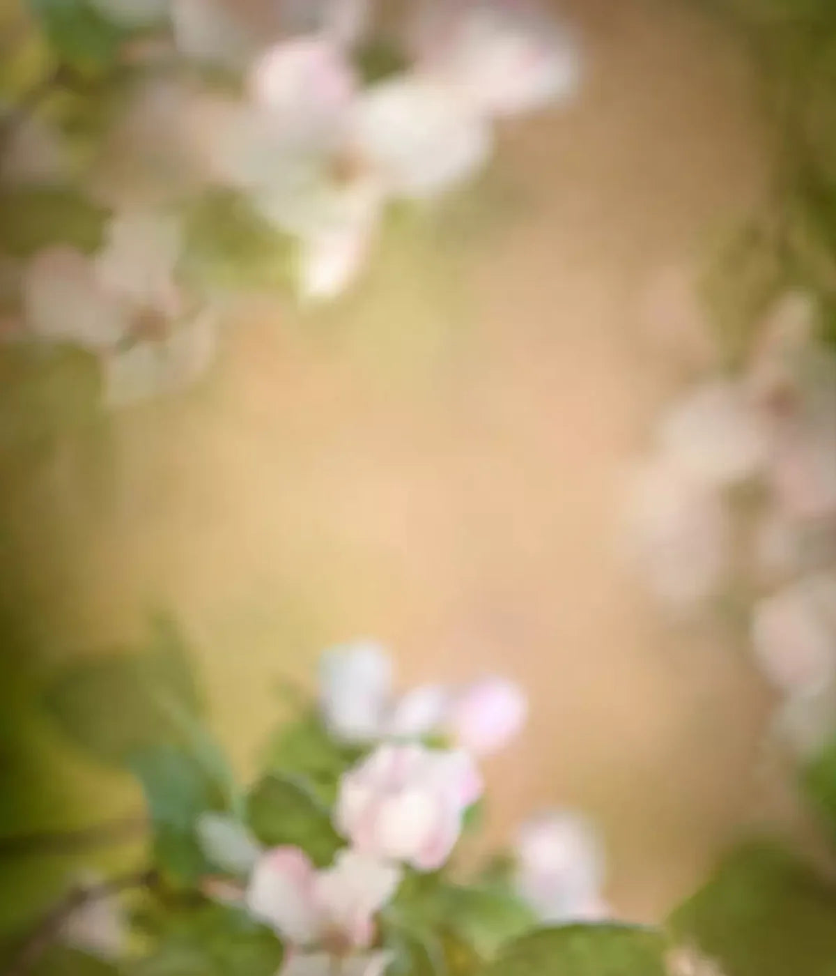Spring Blossoms 10’X12’ Ultracloth (120 X 144 Inch) Backdrop