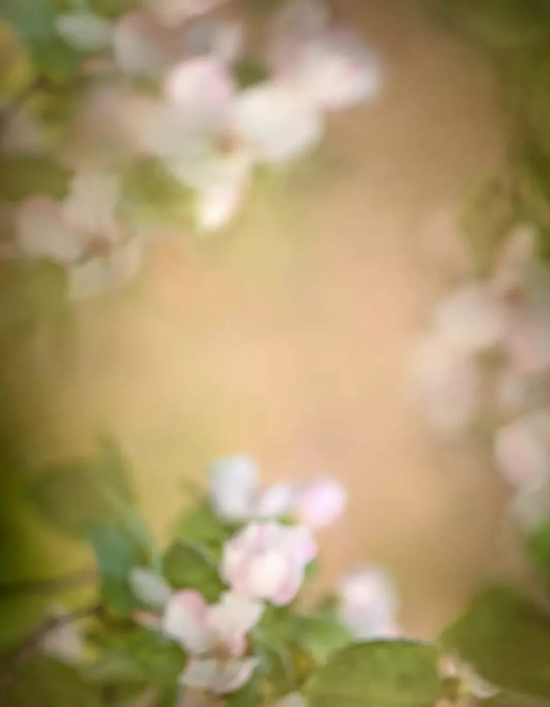 Spring Blossoms 6’X8’ Fleece (72 X 96 Inch) Backdrop