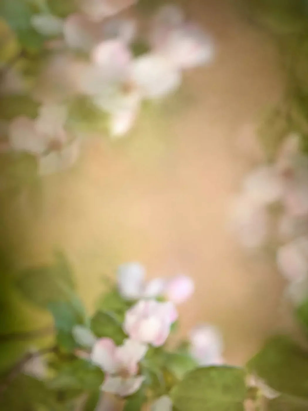 Spring Blossoms 8’X10’ Fleece (96 X 120 Inch) Backdrop
