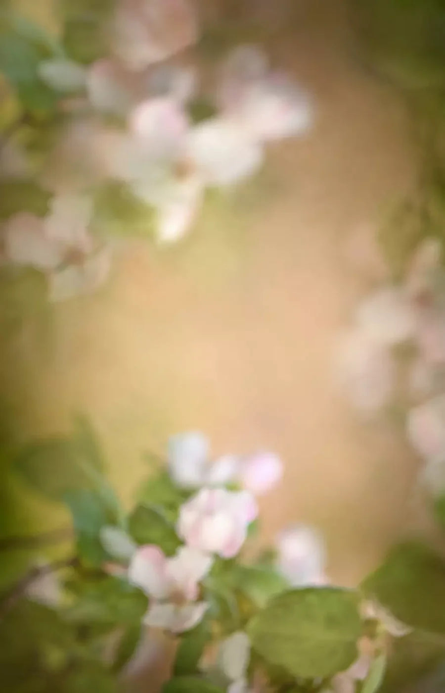 Spring Blossoms 8’X12’ Ultracloth (96 X 144 Inch) Backdrop