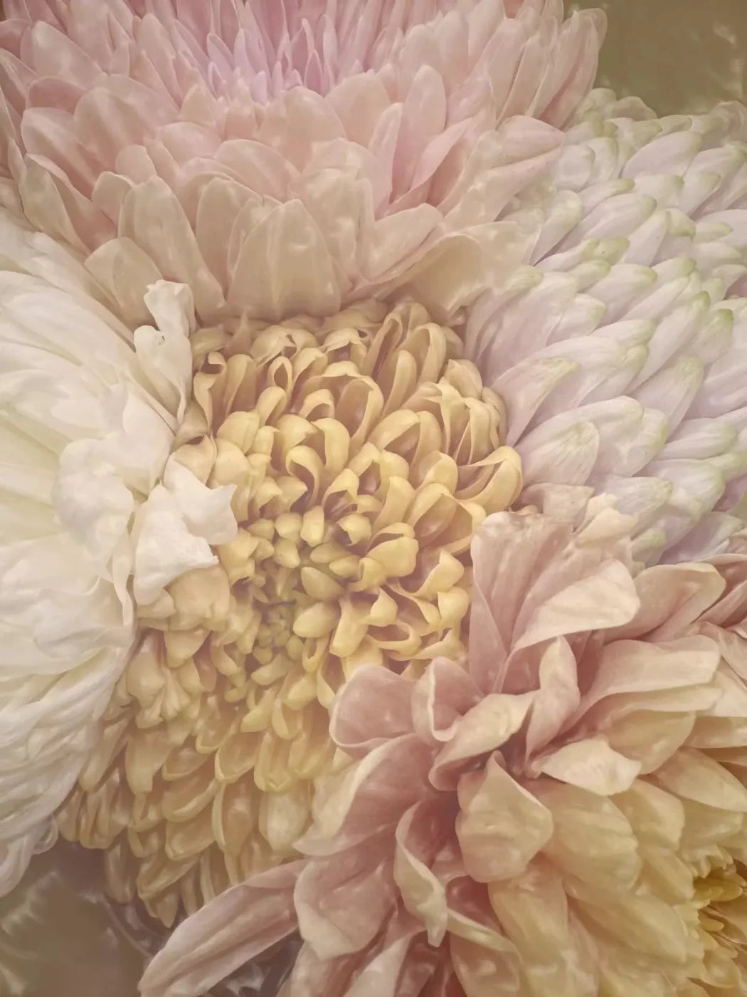 Spring Bouquet 5X68 Fleece ( 60 X 80 Inch ) Backdrop