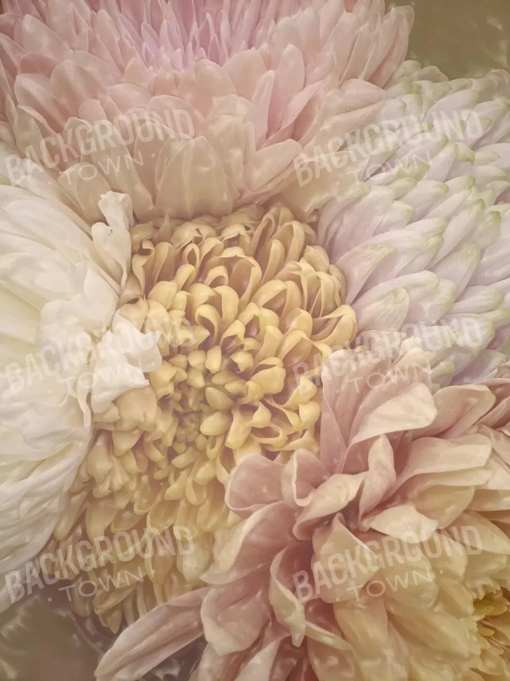 Spring Bouquet 5X68 Fleece ( 60 X 80 Inch ) Backdrop