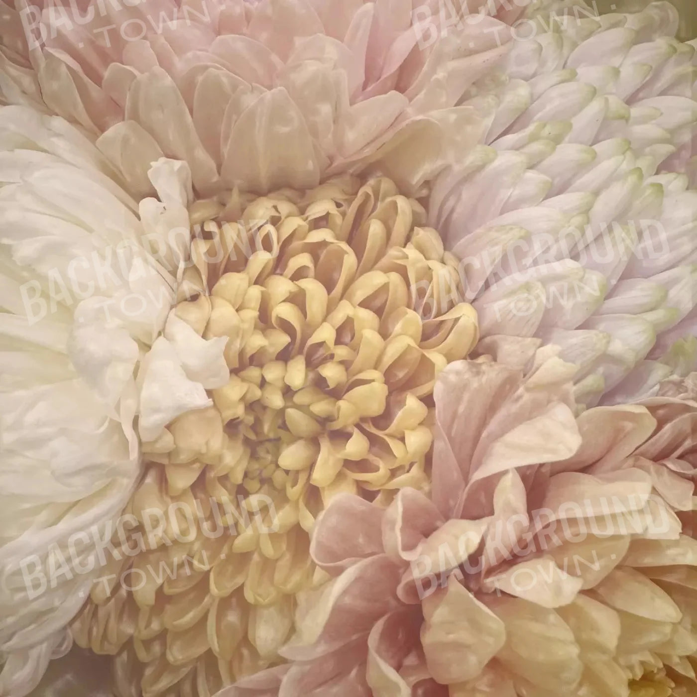 Spring Bouquet 8X8 Fleece ( 96 X Inch ) Backdrop