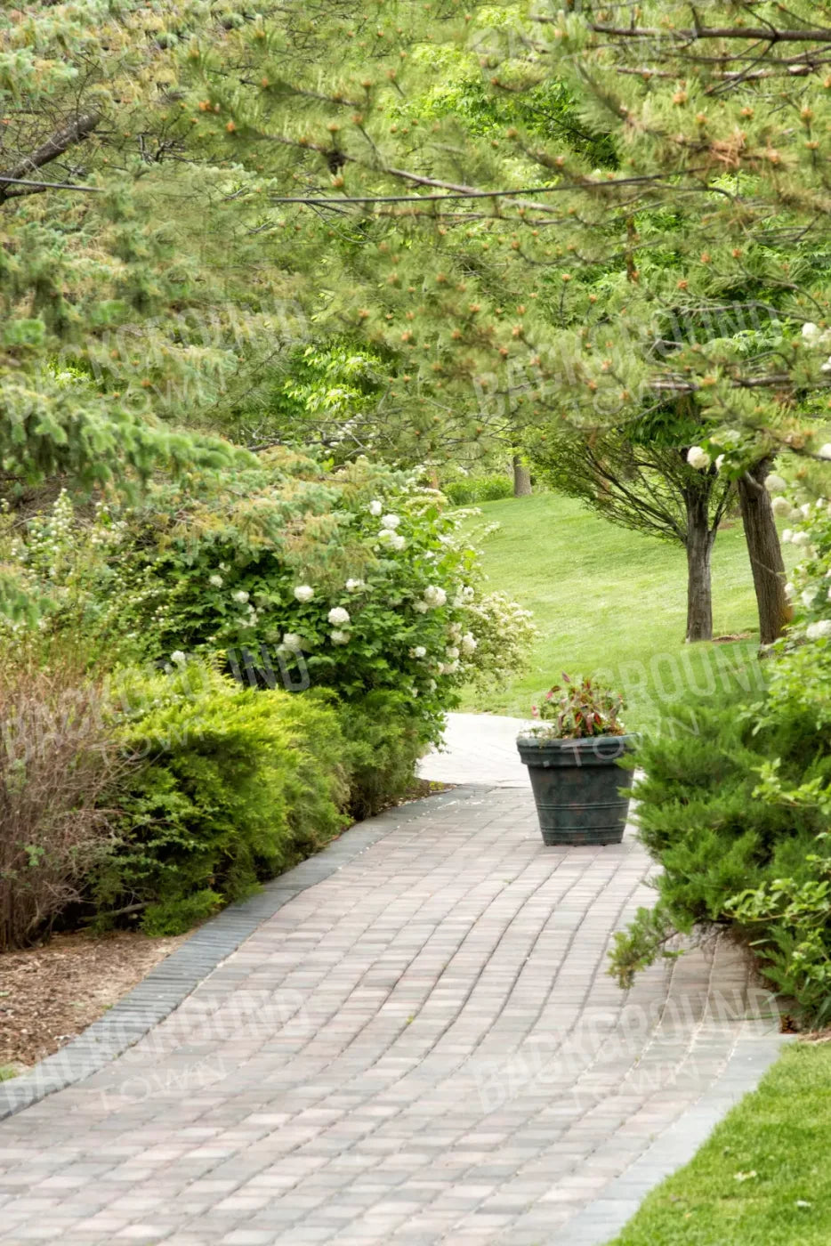 Spring Path 5’X8’ Ultracloth (60 X 96 Inch) Backdrop