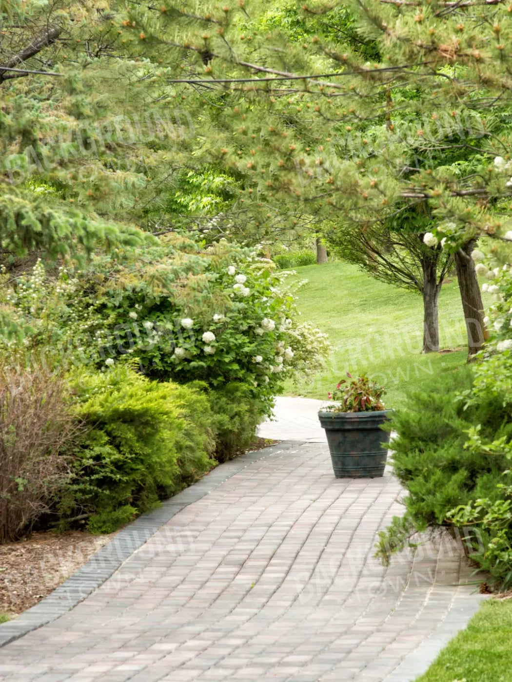 Spring Path 8’X10’ Fleece (96 X 120 Inch) Backdrop