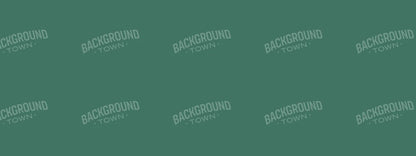 Spruce 20X8 Ultracloth ( 240 X 96 Inch ) Backdrop