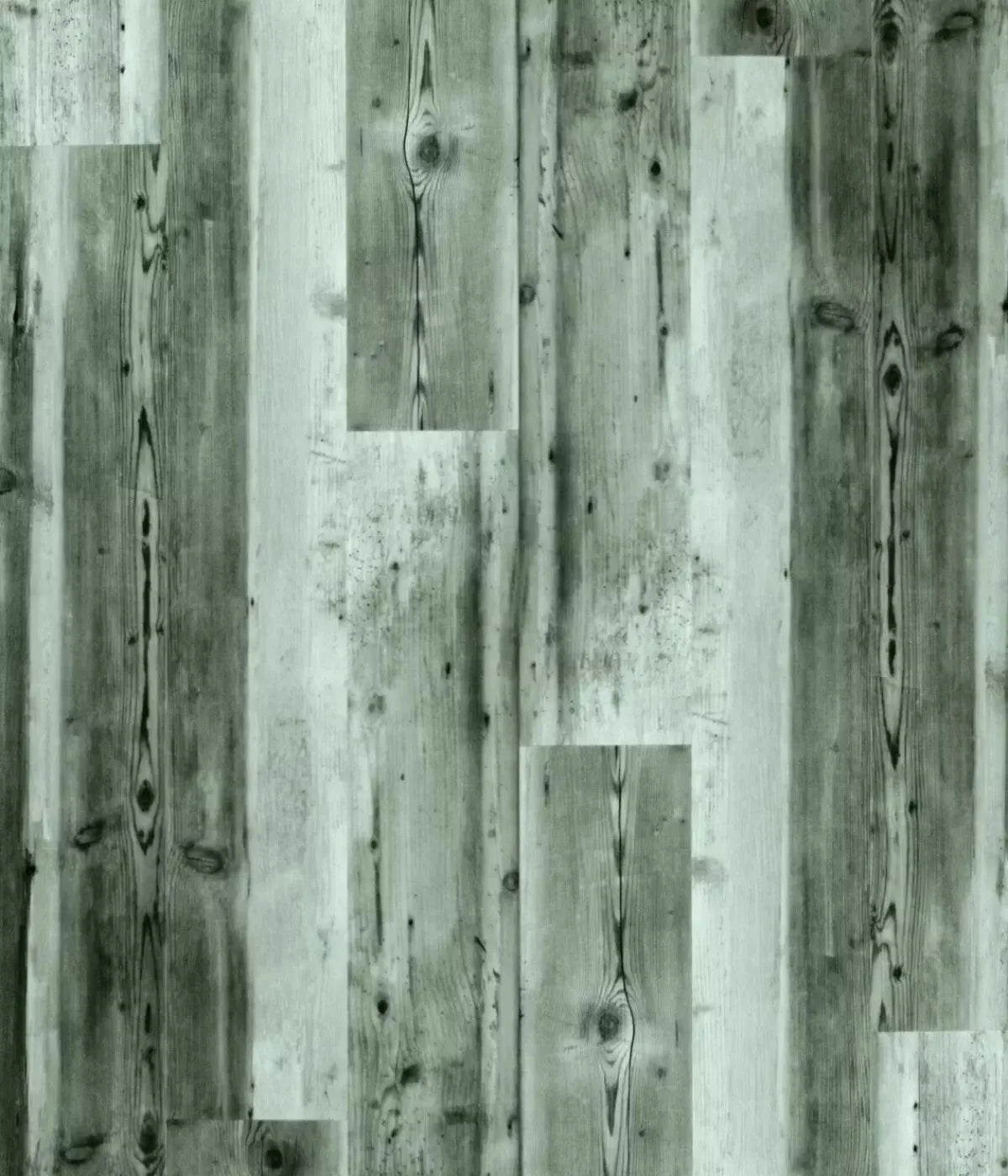 Spruce 10X12 Ultracloth ( 120 X 144 Inch ) Backdrop