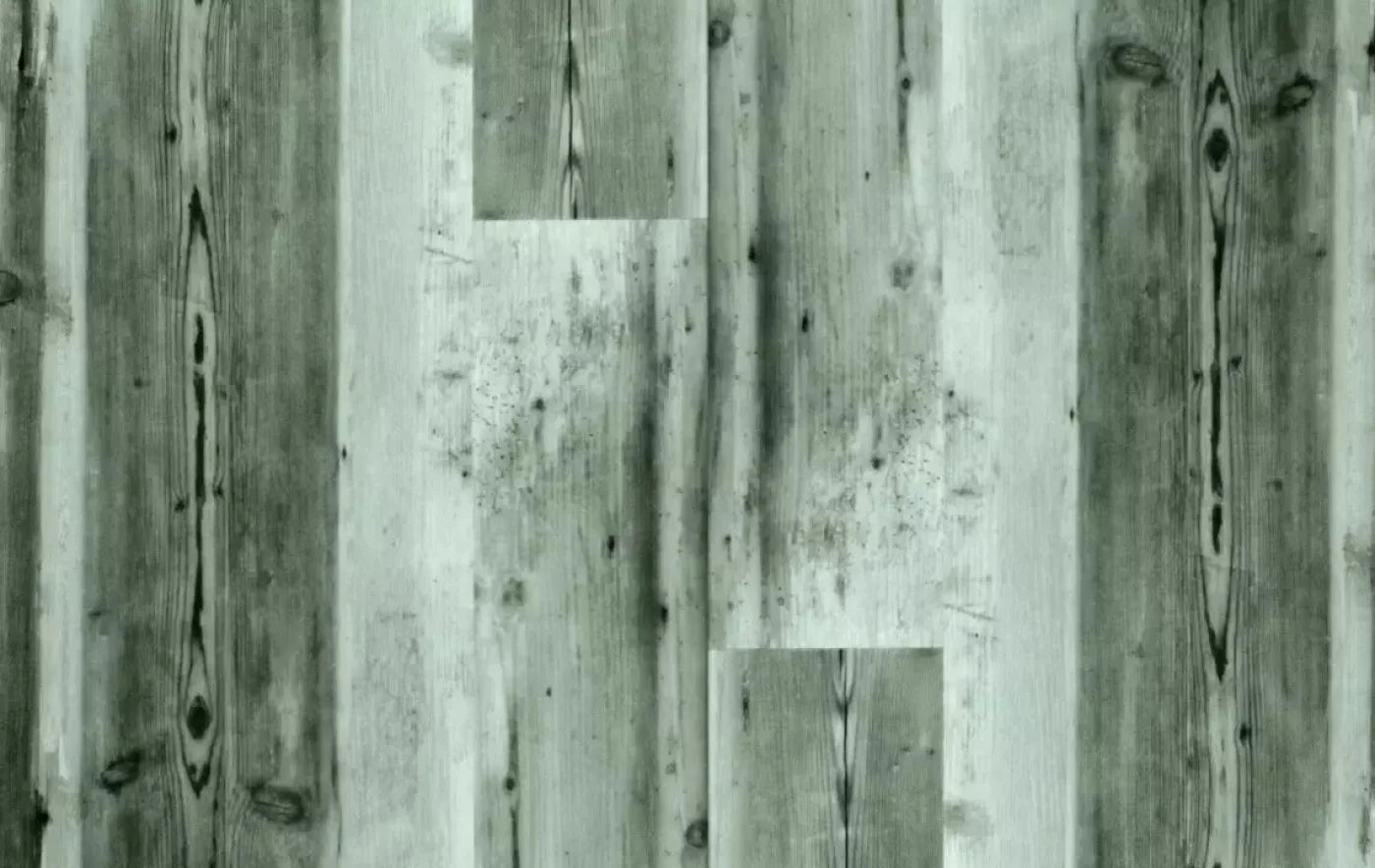 Spruce 16X10 Ultracloth ( 192 X 120 Inch ) Backdrop