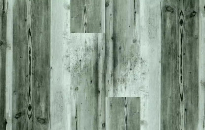 Spruce 16X10 Ultracloth ( 192 X 120 Inch ) Backdrop