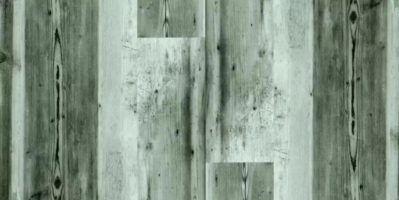 Spruce 20X10 Ultracloth ( 240 X 120 Inch ) Backdrop