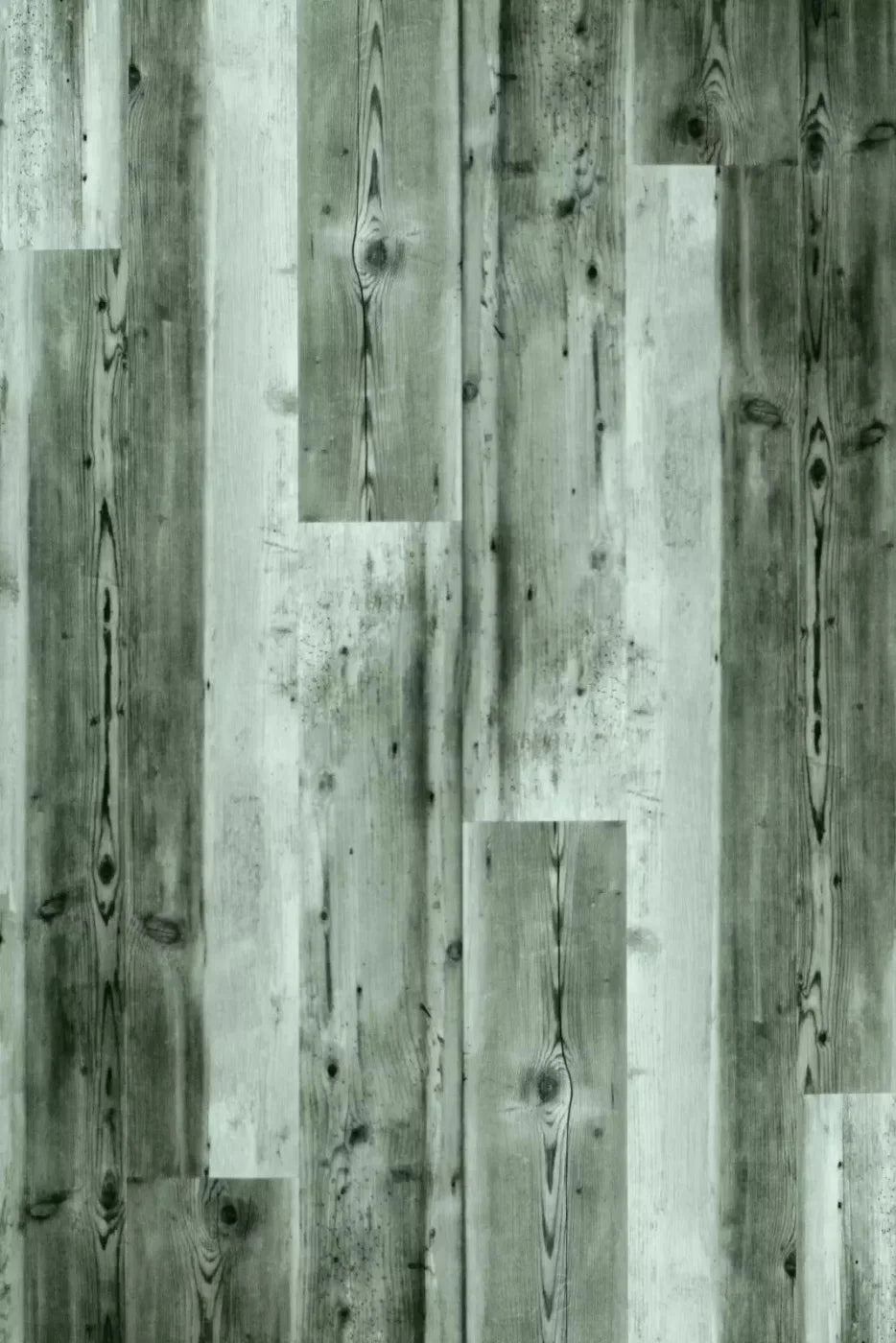 Spruce 5X8 Ultracloth ( 60 X 96 Inch ) Backdrop