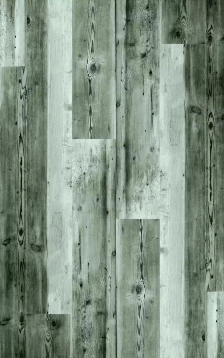 Spruce 9X14 Ultracloth ( 108 X 168 Inch ) Backdrop
