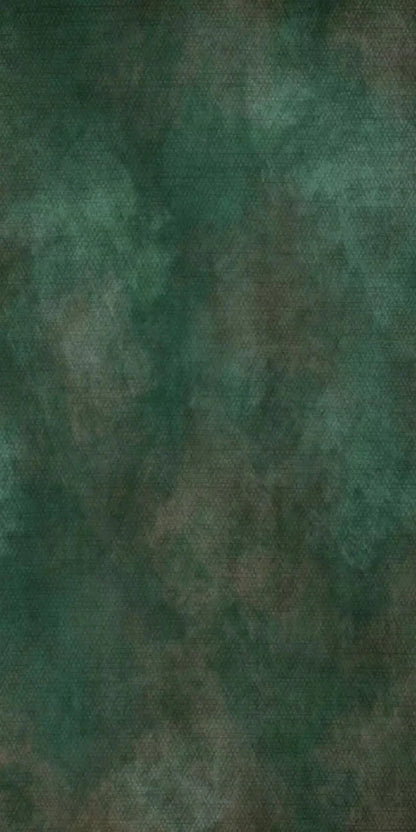 Spruced Up 10X20 Ultracloth ( 120 X 240 Inch ) Backdrop