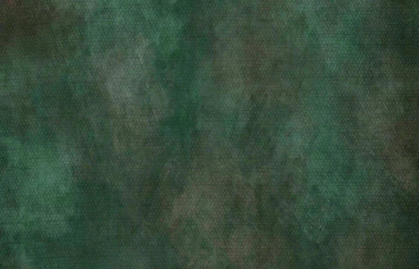 Spruced Up 12X8 Ultracloth ( 144 X 96 Inch ) Backdrop