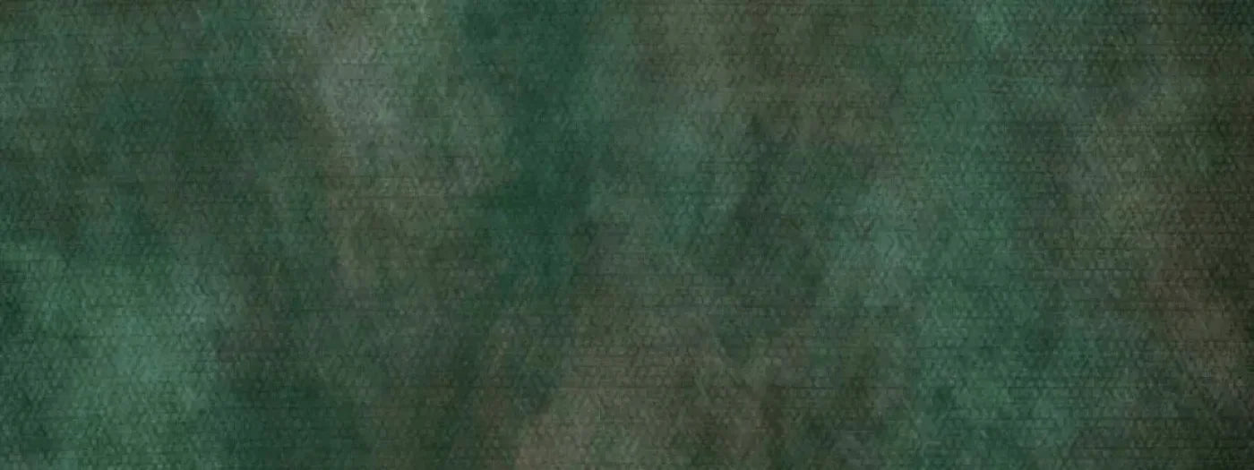 Spruced Up 20X8 Ultracloth ( 240 X 96 Inch ) Backdrop