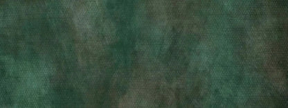 Spruced Up 20X8 Ultracloth ( 240 X 96 Inch ) Backdrop