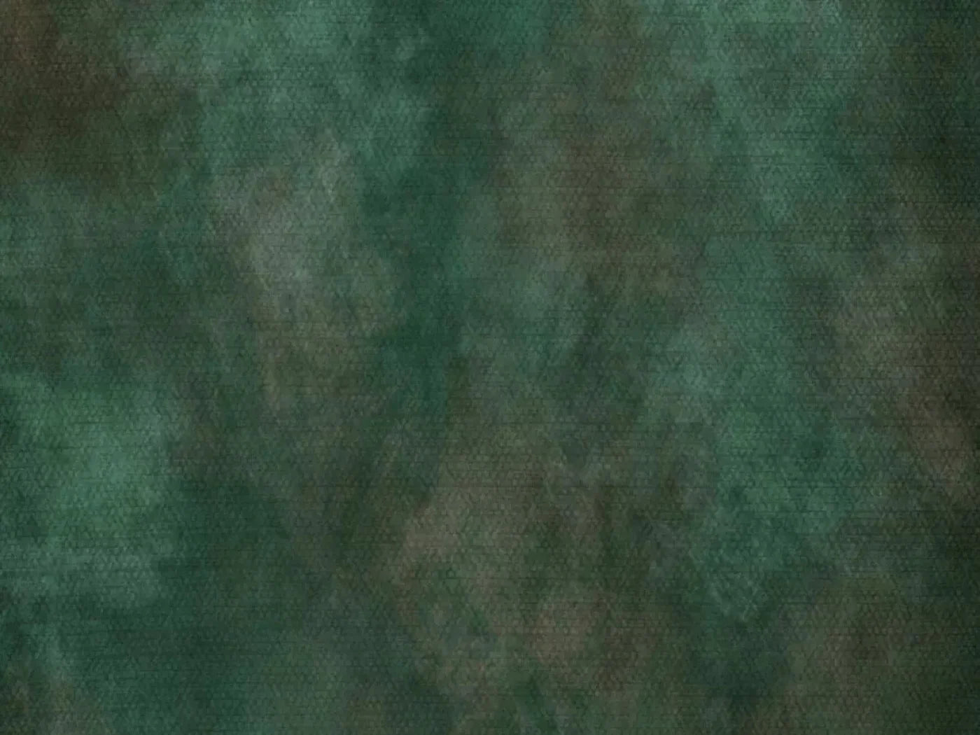 Spruced Up 7X5 Ultracloth ( 84 X 60 Inch ) Backdrop