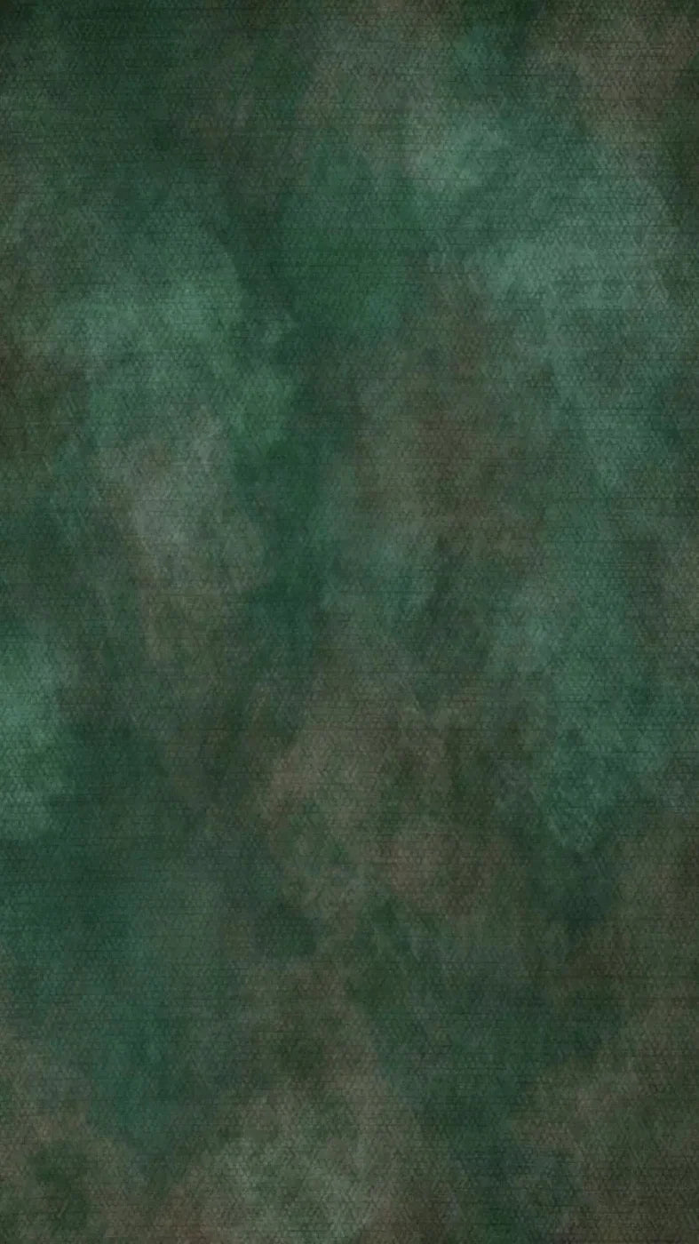 Spruced Up 8X14 Ultracloth ( 96 X 168 Inch ) Backdrop