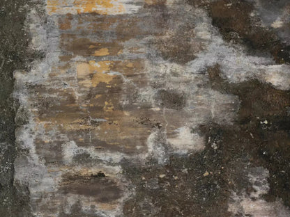 Squalid 10X8 Fleece ( 120 X 96 Inch ) Backdrop