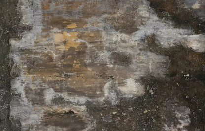 Squalid 12X8 Ultracloth ( 144 X 96 Inch ) Backdrop