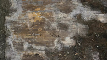 Squalid 14X8 Ultracloth ( 168 X 96 Inch ) Backdrop