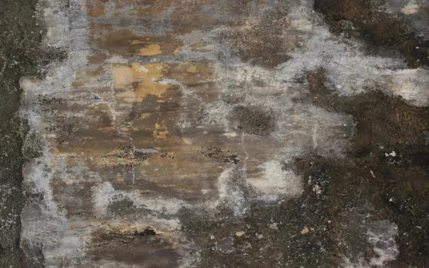 Squalid 14X9 Ultracloth ( 168 X 108 Inch ) Backdrop