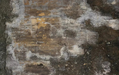 Squalid 16X10 Ultracloth ( 192 X 120 Inch ) Backdrop