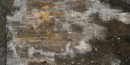 Squalid 20X10 Ultracloth ( 240 X 120 Inch ) Backdrop