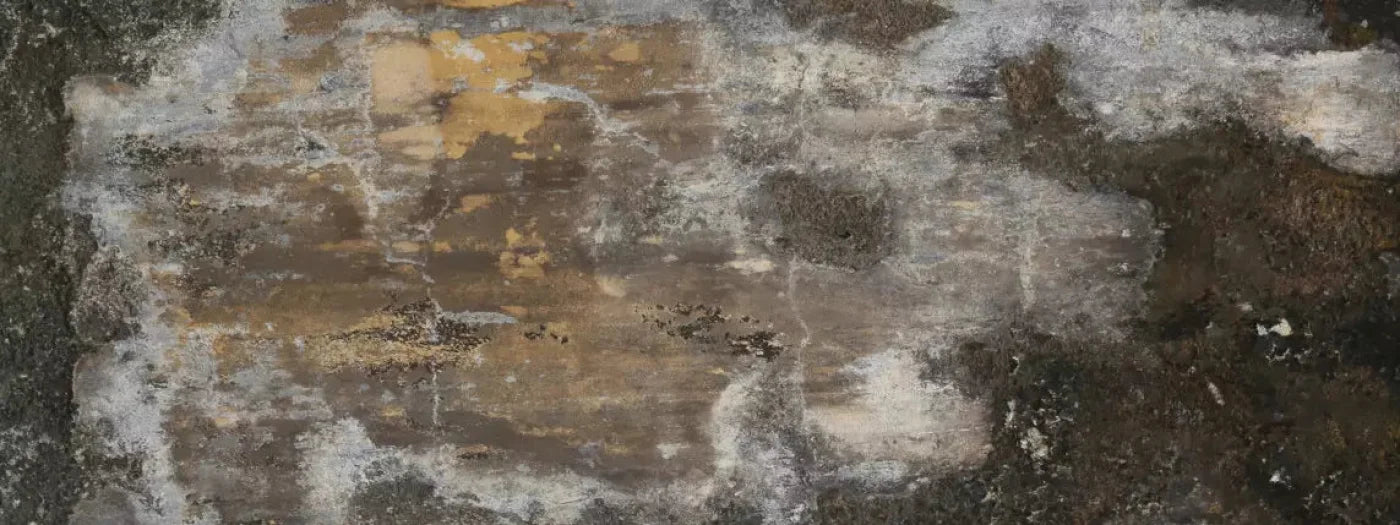 Squalid 20X8 Ultracloth ( 240 X 96 Inch ) Backdrop