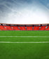 Green Sports Backdrop for Photography